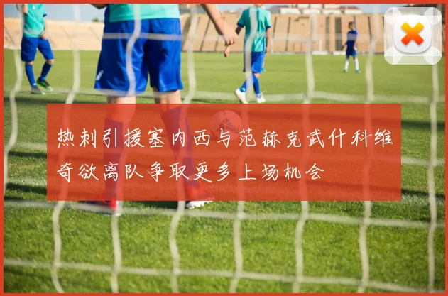热刺引援塞内西与范赫克武什科维奇欲离队争取更多上场机会